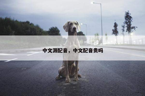 中文源配音，中文配音贵吗