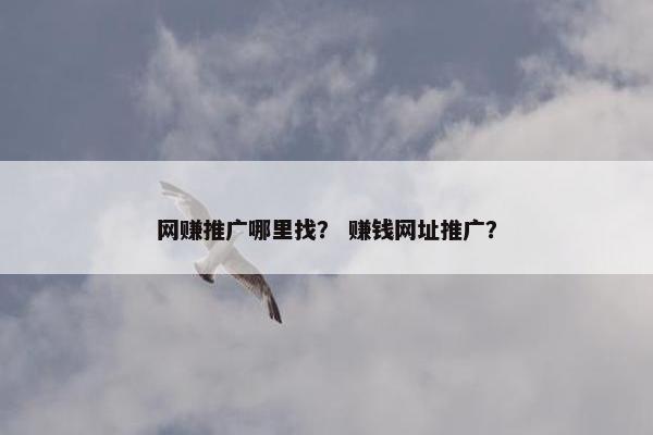 网赚推广哪里找？ 赚钱网址推广？