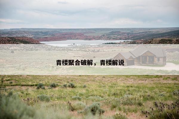 青楼聚合破解，青楼解说