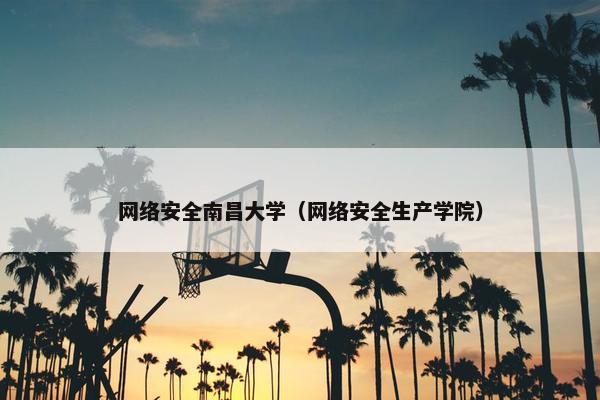 网络安全南昌大学（网络安全生产学院）