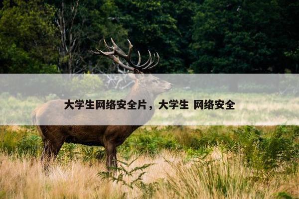 大学生网络安全片，大学生 网络安全
