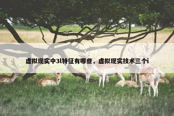 虚拟现实中3l特征有哪些，虚拟现实技术三个i