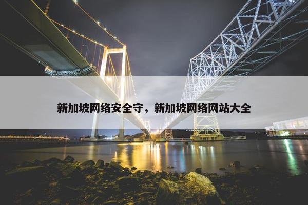 新加坡网络安全守，新加坡网络网站大全