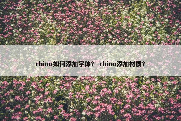 rhino如何添加字体？ rhino添加材质？