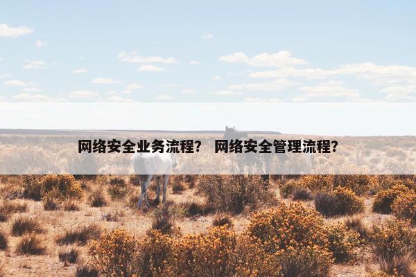 网络安全业务流程？ 网络安全管理流程？
