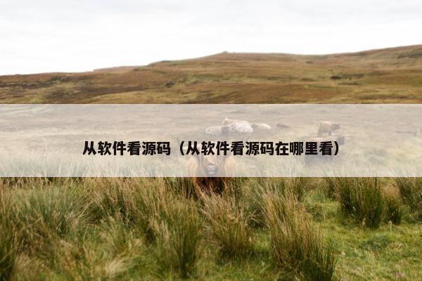 从软件看源码（从软件看源码在哪里看）