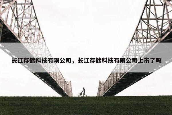 长江存储科技有限公司，长江存储科技有限公司上市了吗
