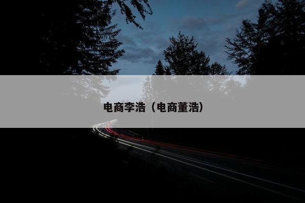 电商李浩（电商董浩）