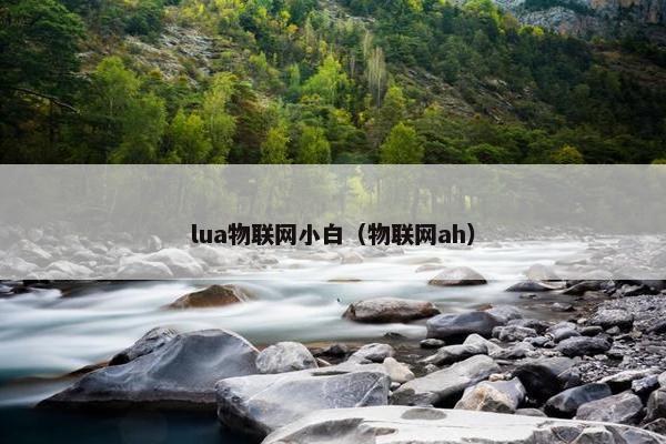 lua物联网小白（物联网ah）