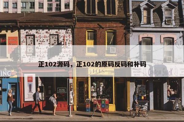正102源码，正102的原码反码和补码