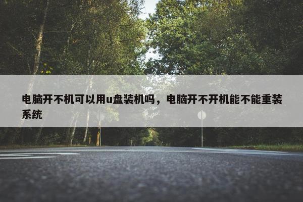 电脑开不机可以用u盘装机吗，电脑开不开机能不能重装系统