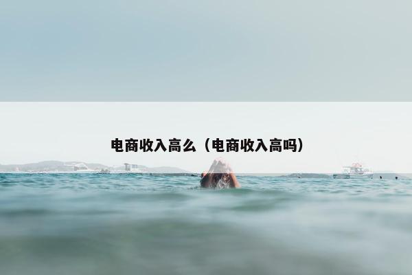 电商收入高么（电商收入高吗）