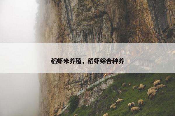 稻虾米养殖，稻虾综合种养
