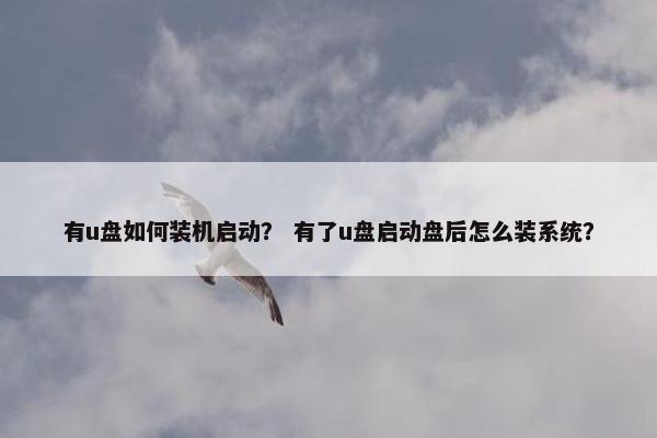 有u盘如何装机启动？ 有了u盘启动盘后怎么装系统？