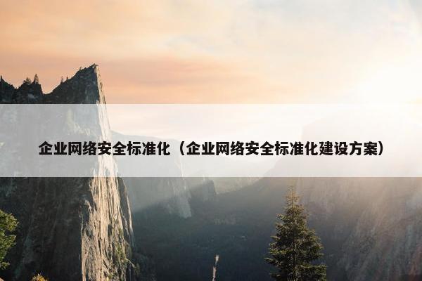 企业网络安全标准化（企业网络安全标准化建设方案）