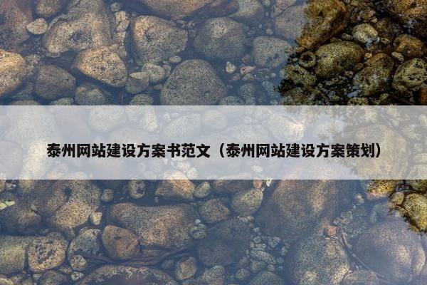 泰州网站建设方案书范文（泰州网站建设方案策划）