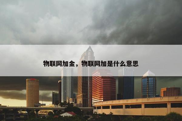 物联网加金，物联网加是什么意思