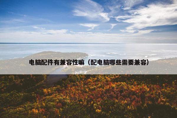 电脑配件有兼容性嘛（配电脑哪些需要兼容）
