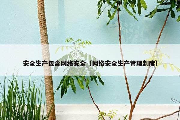 安全生产包含网络安全（网络安全生产管理制度）