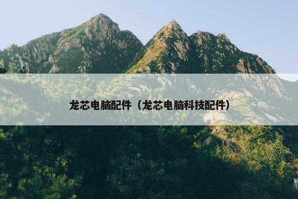 龙芯电脑配件（龙芯电脑科技配件）