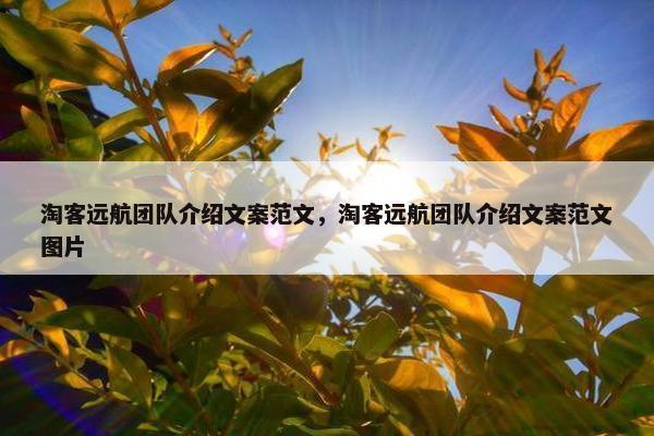 淘客远航团队介绍文案范文，淘客远航团队介绍文案范文图片