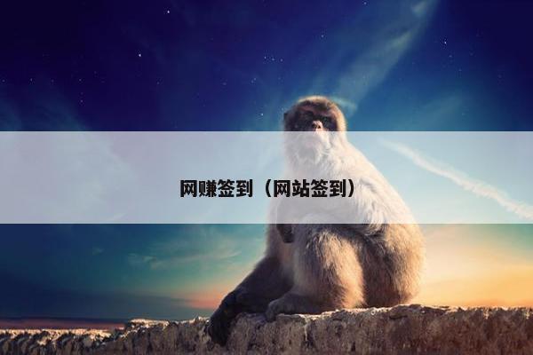 网赚签到（网站签到）
