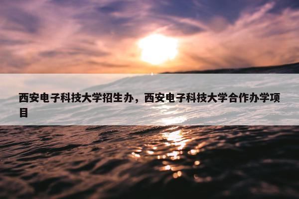 西安电子科技大学招生办，西安电子科技大学合作办学项目