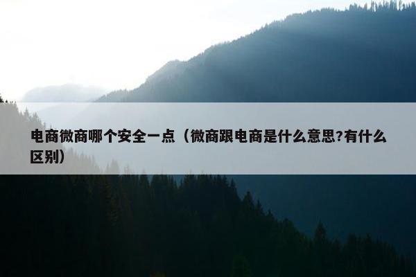 电商微商哪个安全一点（微商跟电商是什么意思?有什么区别）