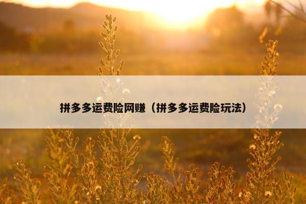 拼多多运费险网赚（拼多多运费险玩法）