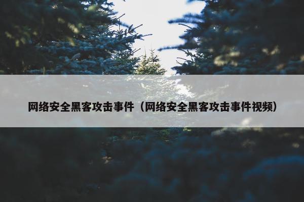 网络安全黑客攻击事件（网络安全黑客攻击事件视频）