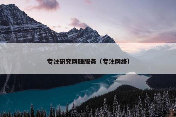 专注研究网赚服务（专注网络）
