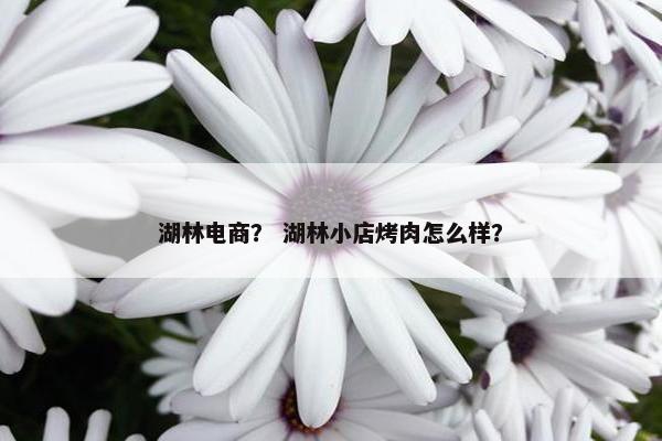 湖林电商？ 湖林小店烤肉怎么样？