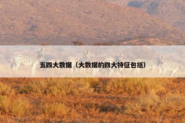 五四大数据（大数据的四大特征包括）