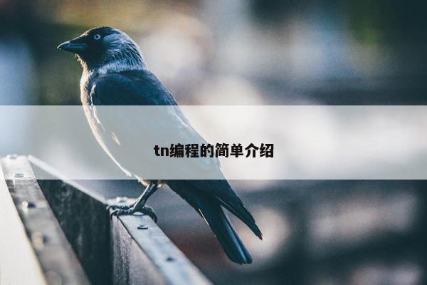 tn编程的简单介绍