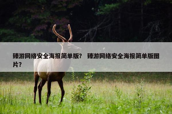 臻游网络安全海报简单版？ 臻游网络安全海报简单版图片？