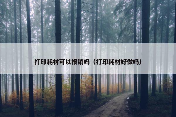 打印耗材可以报销吗（打印耗材好做吗）