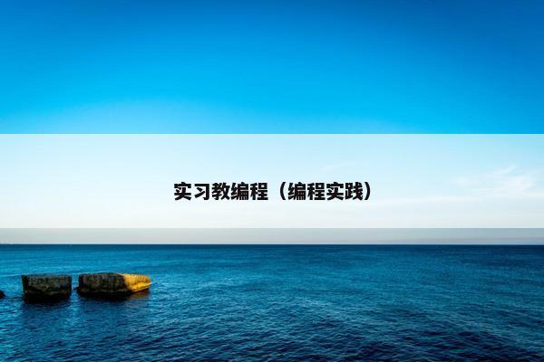 实习教编程（编程实践）