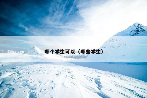 哪个学生可以（哪些学生）