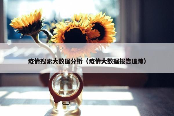 疫情搜索大数据分析（疫情大数据报告追踪）