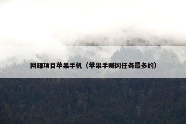 网赚项目苹果手机（苹果手赚网任务最多的）