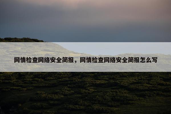 网情检查网络安全简报，网情检查网络安全简报怎么写