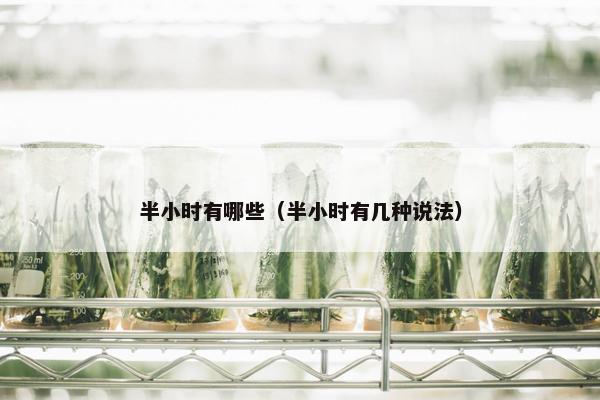 半小时有哪些（半小时有几种说法）