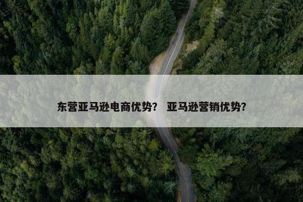 东营亚马逊电商优势？ 亚马逊营销优势？