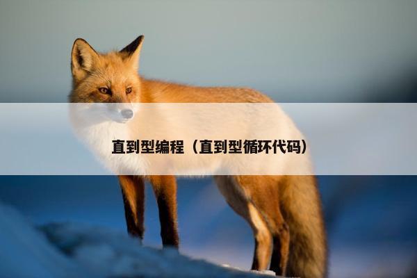 直到型编程（直到型循环代码）