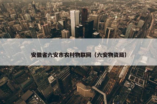 安徽省六安市农村物联网（六安物资局）