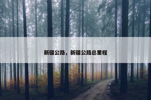 新疆公路，新疆公路总里程