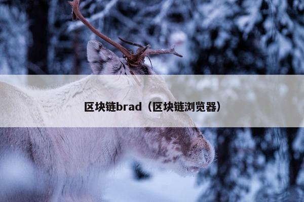 区块链brad（区块链浏览器）