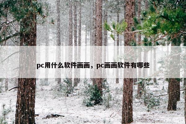 pc用什么软件画画，pc画画软件有哪些