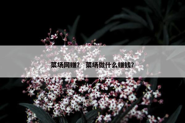 菜场网赚？ 菜场做什么赚钱？