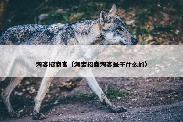 淘客招商官（淘宝招商淘客是干什么的）